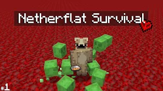 Can I Survive on a Hardcore Nether Superflat World with Nothing but... a few Mods?! | [Ep 1]