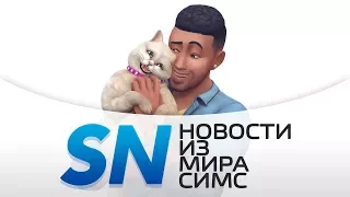 #SIMSNEWS | Факты о ветеринарной клинике