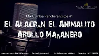 Mix- El Alacrán - El Animalito - Arrullo Mañanero - KARAOKE en Cumbia Ranchera - Instrumental Letra