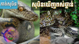 សុបិនឃើញពស់ថ្លាន់-Dreaming seeing of a python