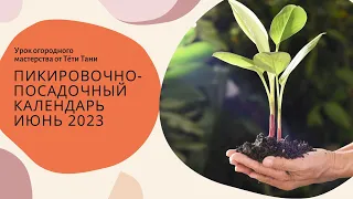 872. Лунный календарь ТРИГОНОВ. Июнь 2023 г. посадка , пересадка.