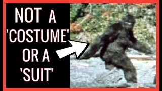 Patterson Gimlin Bigfoot: Why It's Real and Not a Costume or a Man In a Suit