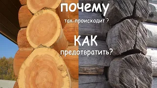 Защита ТОРЦОВ и бревен сруба от ТРЕЩИН и растрескивания. Пропитки от растрескивания бревна и бруса.