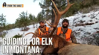 Guiding for Elk in Montana with Remi Warren