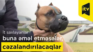 İt saxlayanlar buna əməl etməsələr, cəzalandırılacaqlar