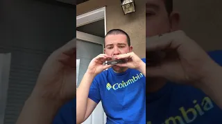 Ode to joy on 2 harmonicas