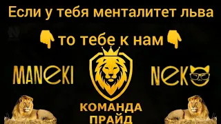 Почему ЛЬВА называют Царём зверей? Всё дело в Менталитете льва.