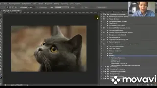 №2 Создание мозайки из фотографий в photoshop