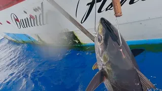 big eye tuna fishing