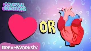 Where Did The “Heart Shape” Come From? | COLOSSAL QUESTIONS