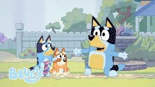 Passez du temps avec les Heelers | Bluey Français Chaîne Officielle