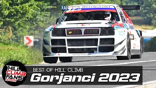 BEST of Hill Climb Gorjanci 2023 || bumpy track