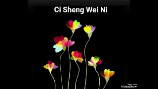 Ci Sheng Wei Ni 此生惟你 -Zhou Sen