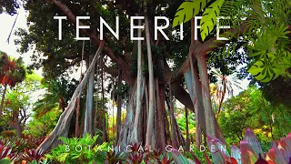 4K HDR Video – Beautiful Botanical Garden in Tenerife, Canary Islands 🌴