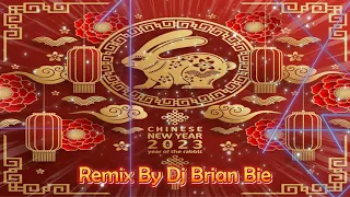 Chineses New Year 2023 Song Mixtape Hot Remix By Dj Brian Bie