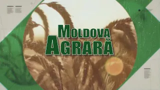 Moldova agrară din 15 01 23