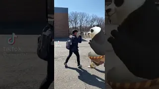 Kung-fu panda get griddy