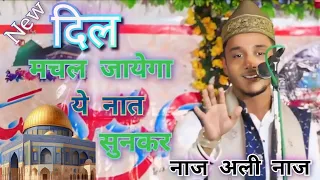 आक़ा मेरे मदनी आक़ा ❤ Naaz Ali Naaz | New Naat 2024 | Palestinian Ke हवाले से | #azimiamadanichannel