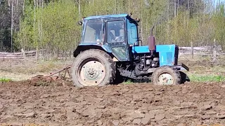 Planting potatoes in 2024. Village. Village. Village. Vologda region