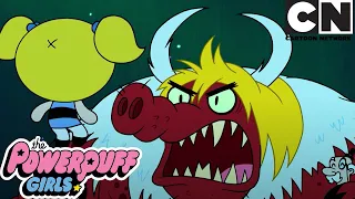 👻 NIGHTMARE! THE ROAD TO HALLOWEEN COMPILATION 👻  | The Powerpuff Girls | Cartoon Network