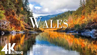 Wales (UK) • Relaxation Film Along With Beautiful Nature Videos - 4K Video UltraHD