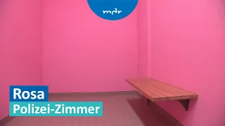 Gegen hitzige Gemüter: Polizei Zwickau trumpft mit Rosa-Zimmer auf | MDR um 4 | MDR