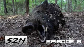 GIANT HOG RUINS DEER HUNT! | Bow Shot at 12 yds FROM THE GROUND!
