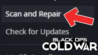 BLACK OPS: COLD WAR - HOW TO SCAN AND REPAIR!
