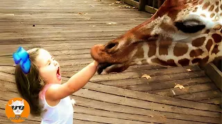 Oh My God! Funniest Baby Crying Animals in the Zoo - Funny Baby Videos | Just Funniest