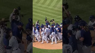 Max Muncy Walk-off Grand Slam Celebration in Dodgers Win vs. Phillies