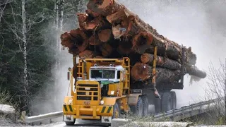 V10 Log Truck Vs STEEP Hill ⛰