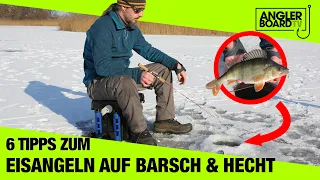 6 Tipps zum Eisangeln auf Barsch und Hecht in Deutschland | Angeln im Winter am See | Anglerboard TV