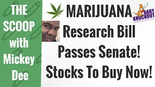 Senate Passes Marijuana Research Bill! President Biden to Sign off Soon! Cannabis Stocks to Buy NOW!