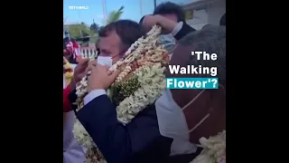 Macron covered in flowers becomes a meme