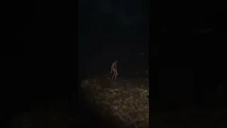 Skinwalker in the Night Forest Horror