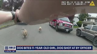 Police officer shoots dog running at him after 11-year-old girl attacked by dog