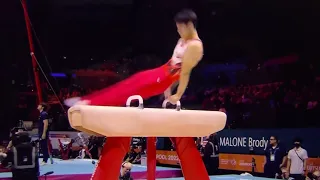 Daiki Hashimoto 🇯🇵 Pommel Horse All Around Finals