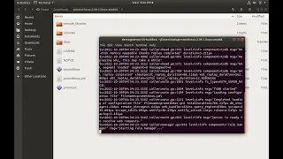 Installing and running Prometheus on Linux