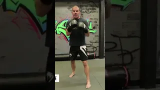 Boxing /kickboxing stance