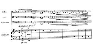 Johannes Brahms - Piano Quartet No.3 in C minor Op.60 (w/score)
