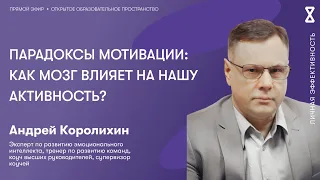 Парадоксы мотивации: как мозг влияет на нашу активность?