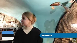 CURIOSIDADES de ESTONIA, el bello país báltico