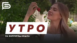 Утро Белгорода