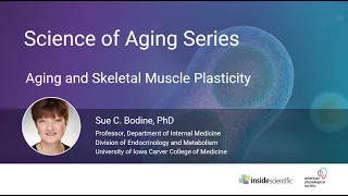 Aging and Skeletal Muscle Plasticity