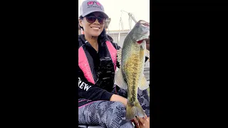 SPINNERBAIT FISHING on the CA Delta #fishing #bass #largemouthbass #bassfishing #kayakfishing