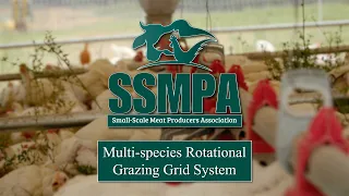 Multi-species Rotational Grazing Grid System