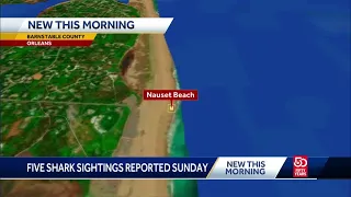 5 shark sightings reported off Cape beach