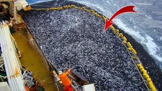 Kapal Yang Membuat Ikan di Laut Cepat Habis - Kapal Penangkap Ikan Modern Tercanggih
