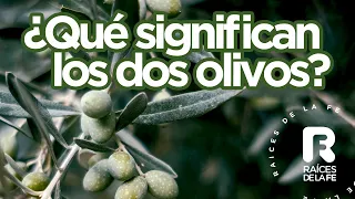 ¿Qué significan los dos olivos?  | RAÍCES DE LA FE | EP 16