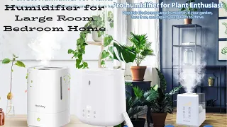 Top 5 Best Humidifiers for Home 2021 Review